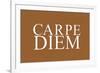 Carpe Diem (Seize the Day, Latin Origin)-null-Framed Art Print