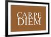 Carpe Diem (Seize the Day, Latin Origin)-null-Framed Art Print