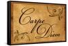 Carpe Diem Seize the Day Wood Carving Poster-null-Framed Stretched Canvas