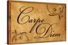 Carpe Diem Seize the Day Wood Carving Poster-null-Stretched Canvas