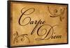 Carpe Diem Seize the Day Wood Carving Poster-null-Framed Poster