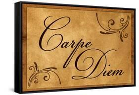 Carpe Diem Seize the Day-null-Framed Stretched Canvas