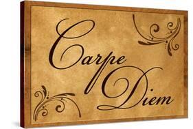 Carpe Diem Seize the Day-null-Stretched Canvas