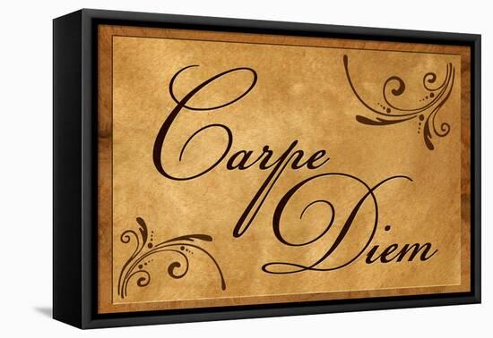 Carpe Diem Seize the Day-null-Framed Stretched Canvas