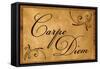 Carpe Diem Seize the Day-null-Framed Stretched Canvas