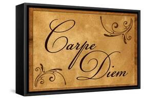 Carpe Diem Seize the Day-null-Framed Stretched Canvas