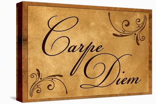 Carpe Diem Seize the Day-null-Stretched Canvas