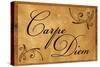 Carpe Diem Seize the Day-null-Stretched Canvas