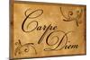 Carpe Diem Seize the Day-null-Mounted Art Print