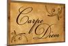 Carpe Diem Seize the Day-null-Mounted Poster
