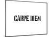 Carpe Diem-SM Design-Mounted Art Print