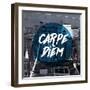 Carpe Diem-null-Framed Giclee Print