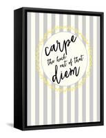 Carpe Diem-Bella Dos Santos-Framed Stretched Canvas