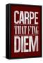 Carpe That F'ing Diem-null-Framed Stretched Canvas