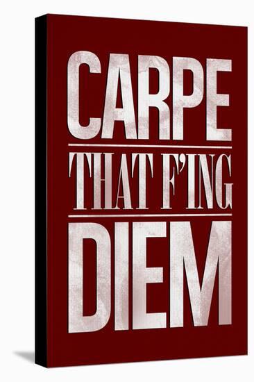 Carpe That F'ing Diem-null-Stretched Canvas