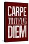 Carpe That F'ing Diem-null-Stretched Canvas