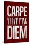 Carpe That F'ing Diem-null-Stretched Canvas