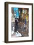 Carpenter and Metalworker in His Workshop in the Souk-Matthew Williams-Ellis-Framed Photographic Print