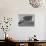 Carpenter Putting Roof on New House That Is Part of a Housing Project-George Skadding-Photographic Print displayed on a wall