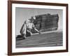 Carpenter Putting Roof on New House That Is Part of a Housing Project-George Skadding-Framed Photographic Print