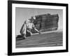 Carpenter Putting Roof on New House That Is Part of a Housing Project-George Skadding-Framed Photographic Print