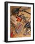 Carpentry Tools-Chris Rogers-Framed Photographic Print