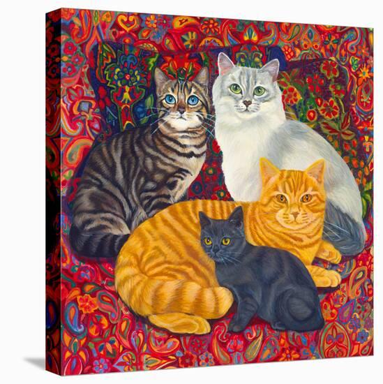 Carpet Cats II-Megan Dickinson-Stretched Canvas