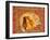 Carpet-Kittens-Ditz-Framed Giclee Print