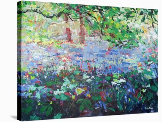 Carpet of Bluebells-Sylvia Paul-Stretched Canvas