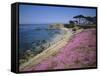 Carpet of Mesembryanthemum Flowers, Pacific Grove, Monterey, California, USA-Geoff Renner-Framed Stretched Canvas
