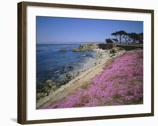 Carpet of Mesembryanthemum Flowers, Pacific Grove, Monterey, California, USA-Geoff Renner-Framed Photographic Print