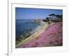 Carpet of Mesembryanthemum Flowers, Pacific Grove, Monterey, California, USA-Geoff Renner-Framed Photographic Print