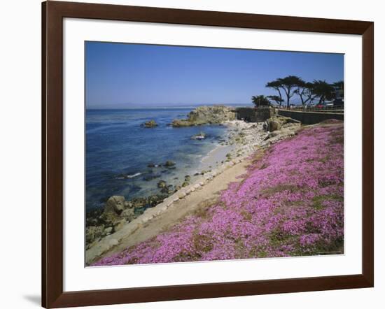 Carpet of Mesembryanthemum Flowers, Pacific Grove, Monterey, California, USA-Geoff Renner-Framed Photographic Print