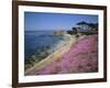 Carpet of Mesembryanthemum Flowers, Pacific Grove, Monterey, California, USA-Geoff Renner-Framed Photographic Print