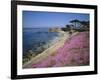 Carpet of Mesembryanthemum Flowers, Pacific Grove, Monterey, California, USA-Geoff Renner-Framed Photographic Print