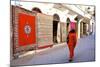 Carpet Shop, the Medina, Rabat, Morocco, North Africa, Africa-Neil Farrin-Mounted Photographic Print