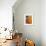 Carpets Hanging Outside Shop in the Medina, Essaouira, Morocco, North Africa, Africa-Jane Sweeney-Framed Photographic Print displayed on a wall