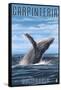 Carpinteria, California - Humpback Whale-Lantern Press-Framed Stretched Canvas