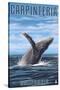 Carpinteria, California - Humpback Whale-Lantern Press-Stretched Canvas