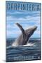 Carpinteria, California - Humpback Whale-Lantern Press-Mounted Art Print