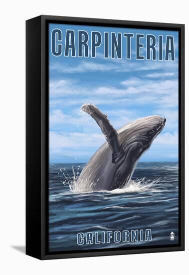 Carpinteria, California - Humpback Whale-Lantern Press-Framed Stretched Canvas