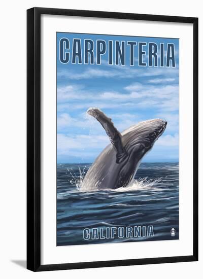 Carpinteria, California - Humpback Whale-Lantern Press-Framed Art Print