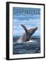 Carpinteria, California - Humpback Whale-Lantern Press-Framed Art Print