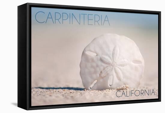 Carpinteria, California - Sand Dollar on Beach-Lantern Press-Framed Stretched Canvas