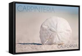 Carpinteria, California - Sand Dollar on Beach-Lantern Press-Framed Stretched Canvas