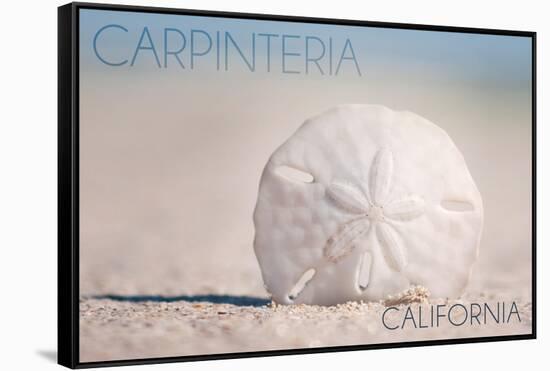 Carpinteria, California - Sand Dollar on Beach-Lantern Press-Framed Stretched Canvas