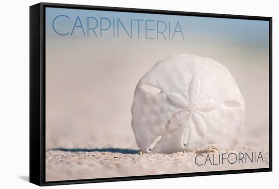 Carpinteria, California - Sand Dollar on Beach-Lantern Press-Framed Stretched Canvas