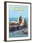 Carpinteria, California - Sea Lions-Lantern Press-Framed Art Print