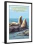 Carpinteria, California - Sea Lions-Lantern Press-Framed Art Print