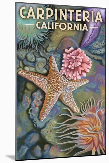 Carpinteria, California - Tidepool-Lantern Press-Mounted Art Print
